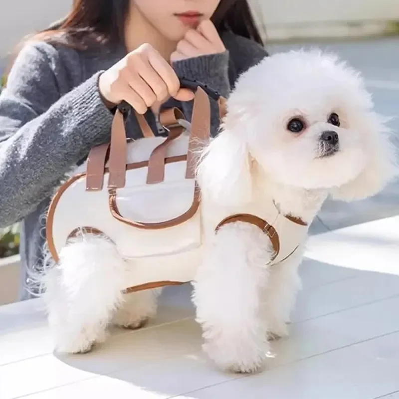 2026 Small Dog Lift Harness Ba - đánh giá và giá Heavy Equipment Cat